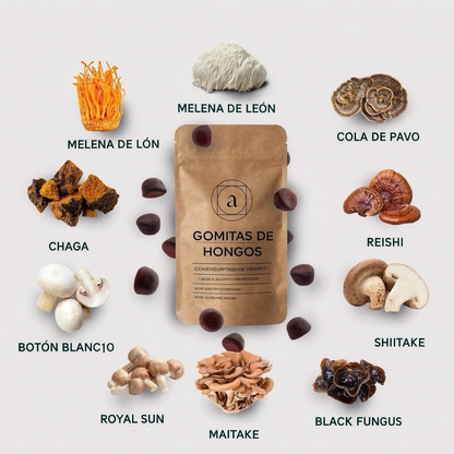 Gomitas de Hongos | Enfoque Mental y Energía Natural