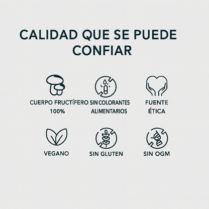 Gomitas de Hongos | Enfoque Mental y Energía Natural
